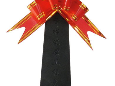 揚子杯優(yōu)質工程獎